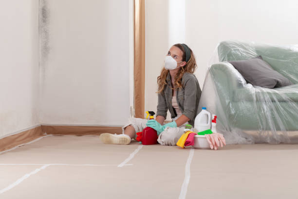 Reliable Mold Remediation contractor in Wye Mills, MD by 24 Hour Mold Removal